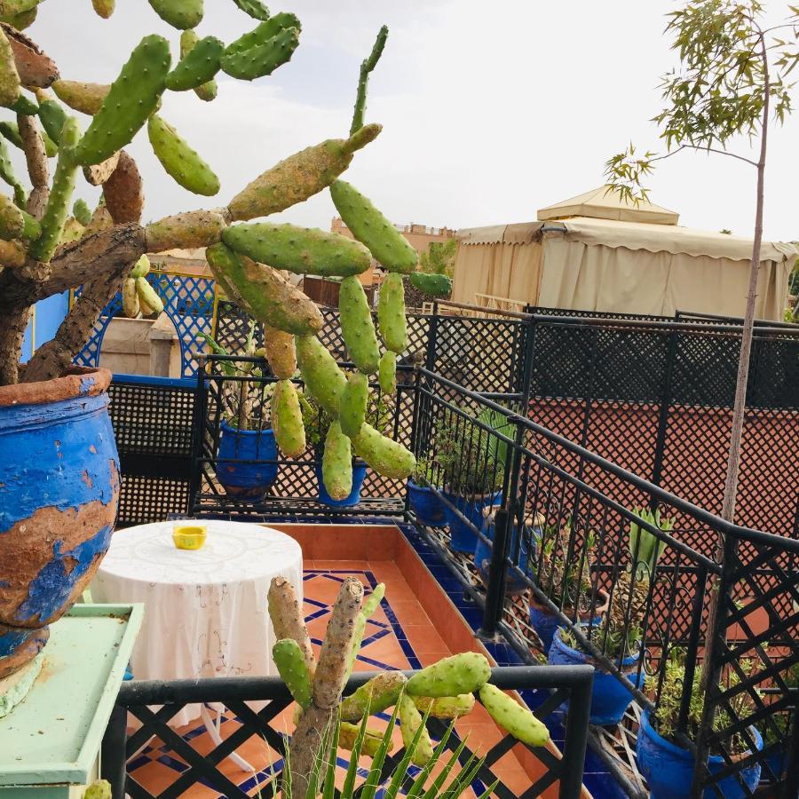 מרקש Almarkab Riad מראה חיצוני תמונה